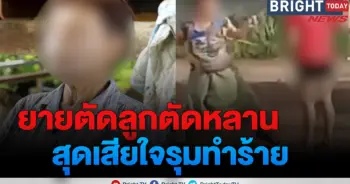 หลานตบยาย