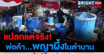 พญาผึ้งในตำนาน