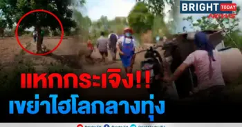 ไฮโล
