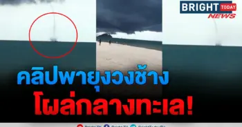 พายุงวงช้าง