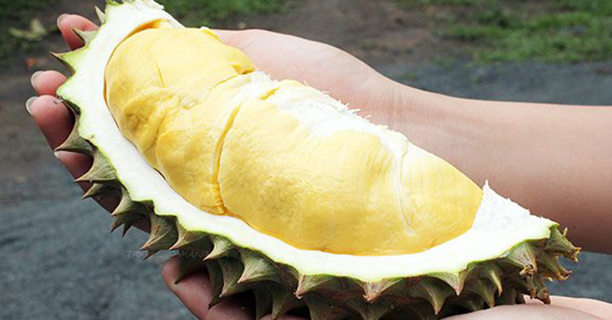 Durian export China