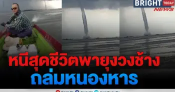 พายุงวงช้าง