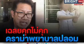 ทนายเดชา