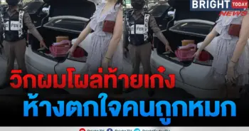 วิกผมท้ายรถเก๋ง