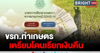 เยียวยาเกษตรกร