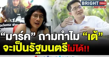 มาร์ค พิทบูล