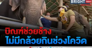 บิณฑ์ บันลือฤทธิ์