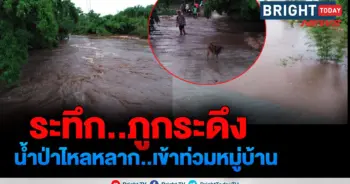 น้ำป่าไหลหลาก