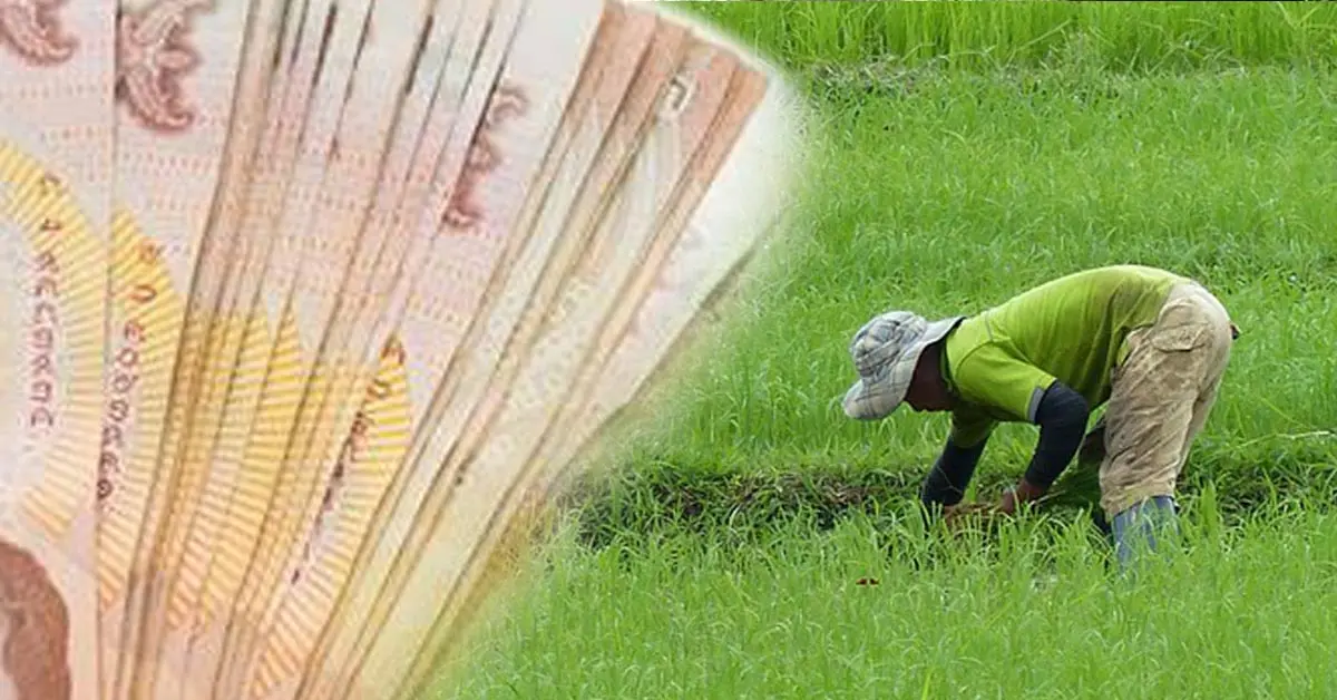เงินชาวนา