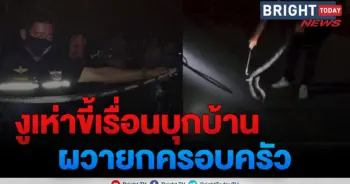 งูเห่าขี้เรื้อน