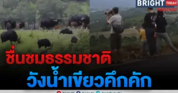 วังน้ำเขียว