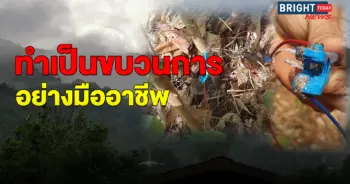ไฟป่าภาคเหนือ