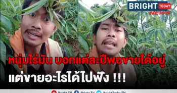 ปลูกมัน