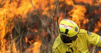 first-bushfire-season-in-australiaปก