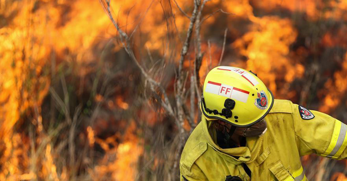 first-bushfire-season-in-australiaปก