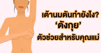 ตังกุย
