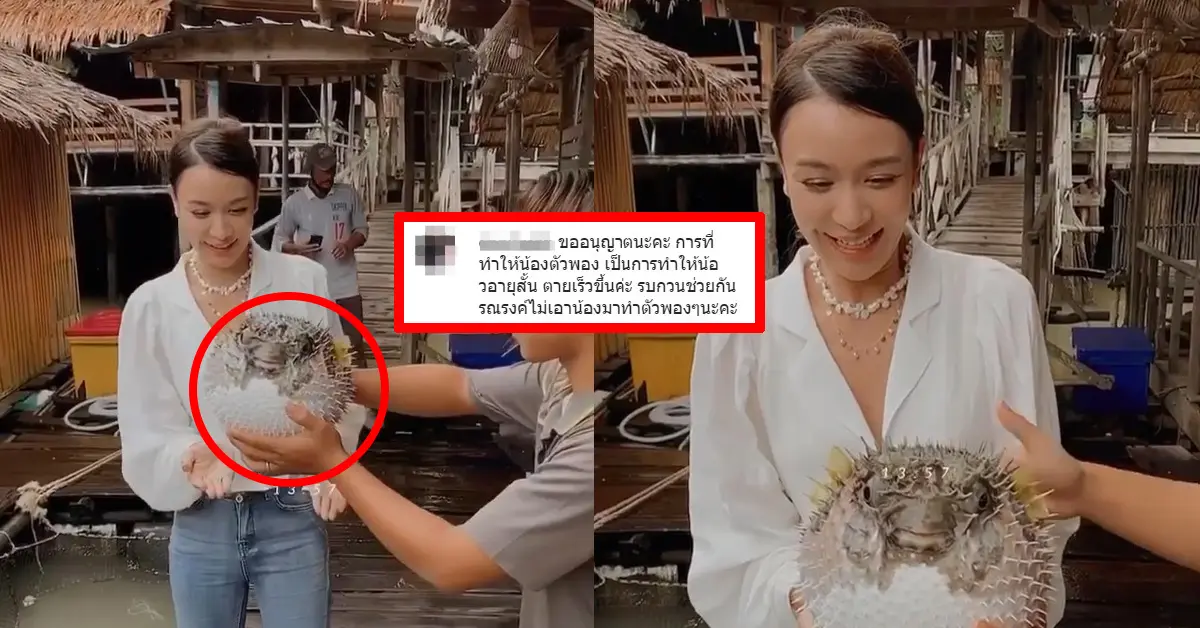 เบนซ์ ปุณยาพร