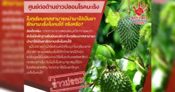 ใบทุเรียนเทศ