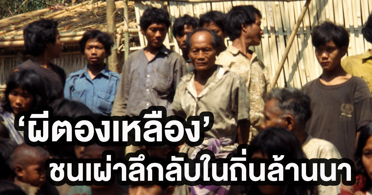 ผีตองเหลือง