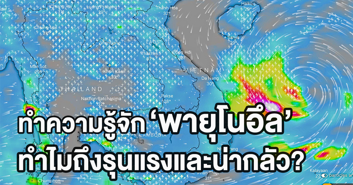 พายุโนอึล รู้จัก