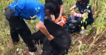 หมีควาย โดนจับ ขอนแก่น