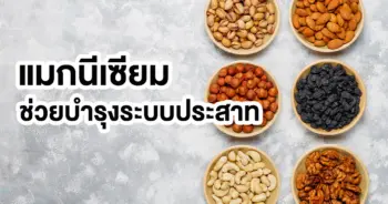 แมกนีเซีย