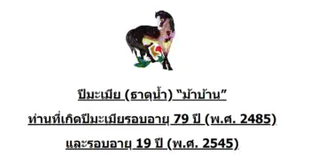chinese-zodiac-horse-2485-2545