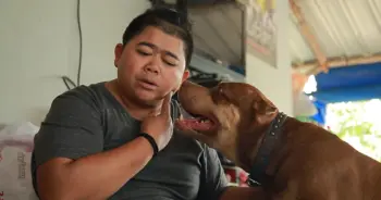kohtee-dog