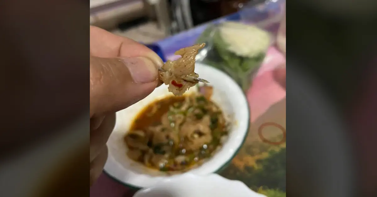 เข็มในเนื้อหมู