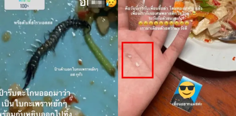 ตะขาบ ในข้าว