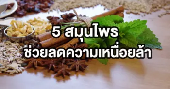 สมุนไพร