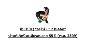chinese-zodiac-horse-2509