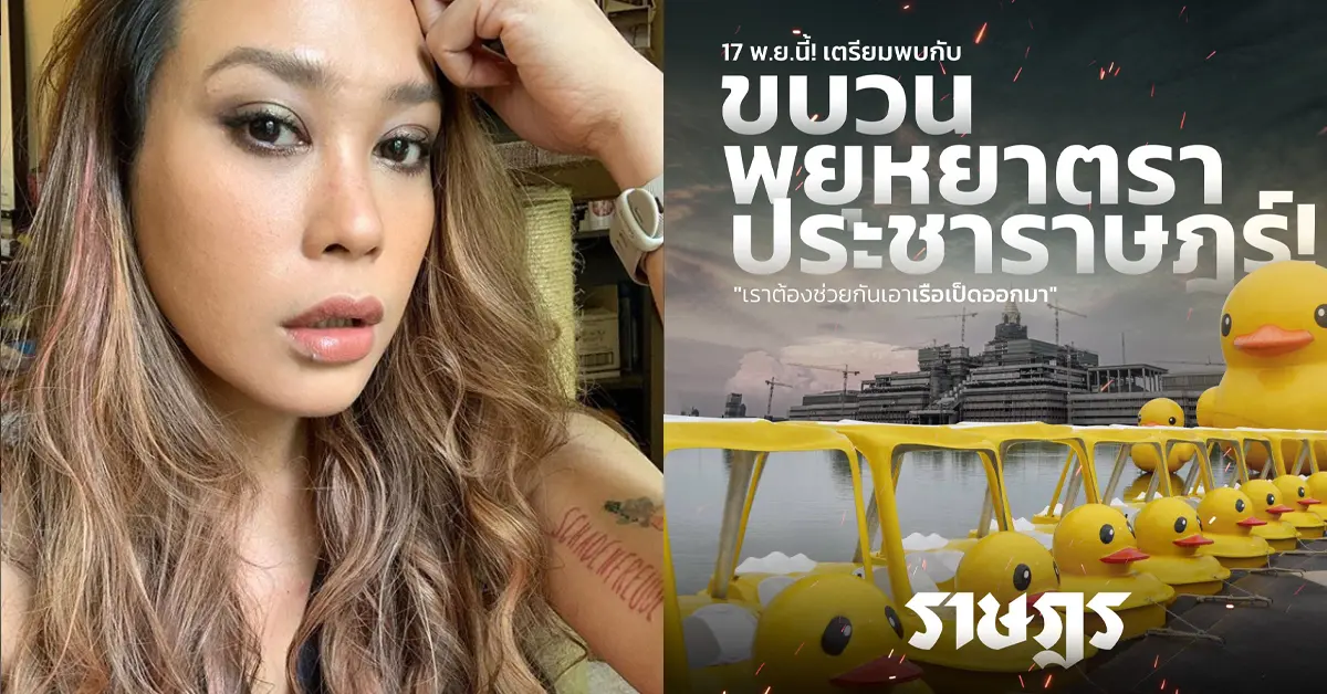 ทัพเรือเป็ด