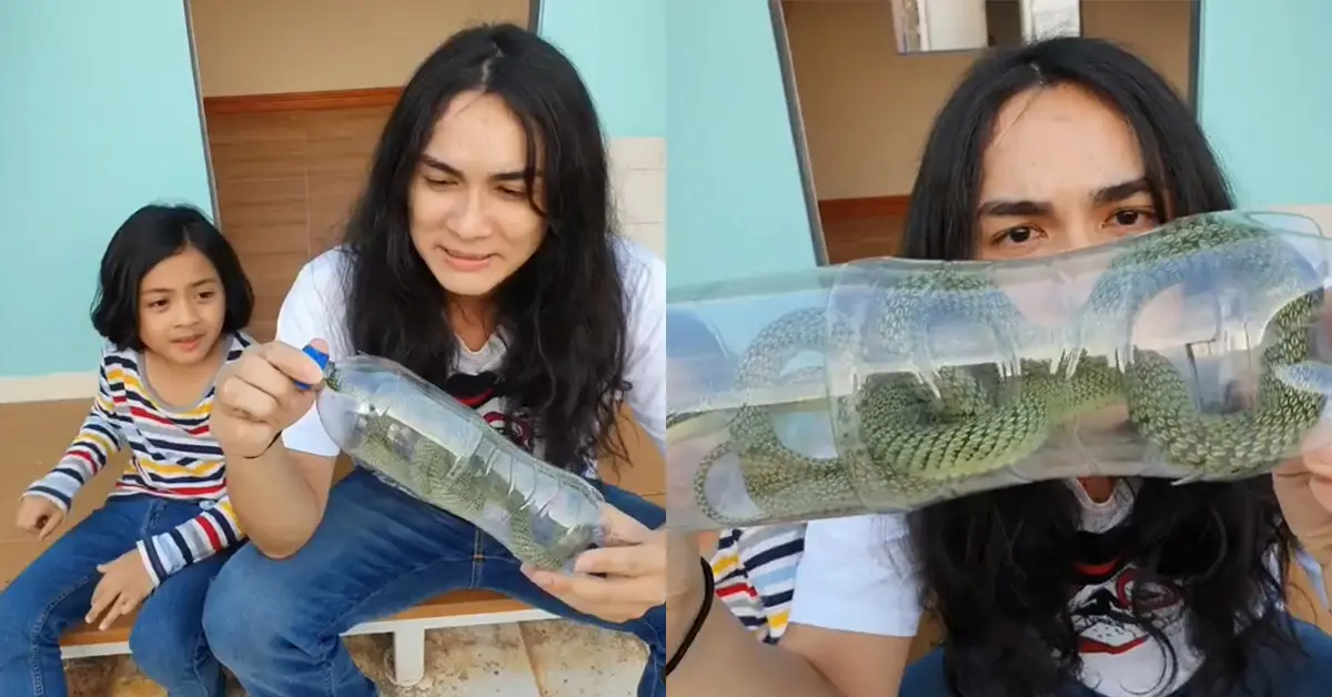 nake-arther-snake
