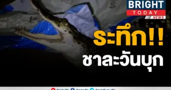 ระทึกเมืองระนอง!