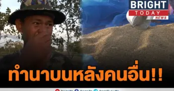 ชาวนา