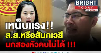 นกสองหัวไม่มีใครคบ