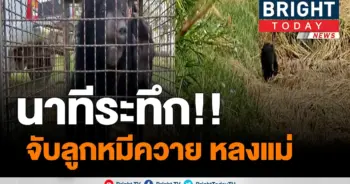 นาทีระทึก!!