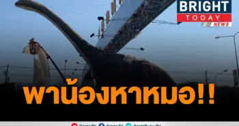 น้องไดโน