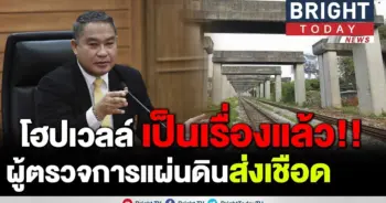 ผู้ตรวจการแผ่นดิน