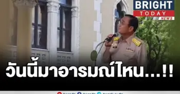 มาแปลก!!