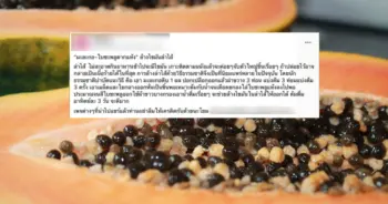 สูตรล้างไขมันในลำไส้