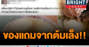 อ้วกแทบพุ่ง!
