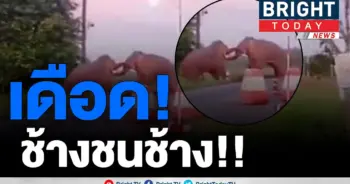 เกิดมาเพิ่งเคยเห็น!