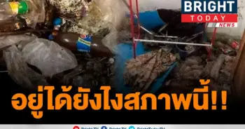เจ้าของสุดช็อก
