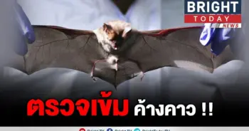 เจ้าหน้าที่วนอุทยาน