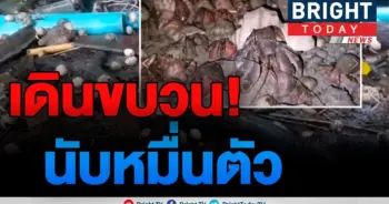 เปิดคลิป!!