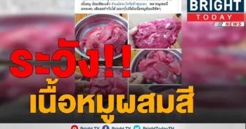 เอาอีกแล้ว!