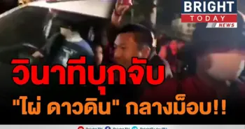 ไผ่​ ดาว​ดิน