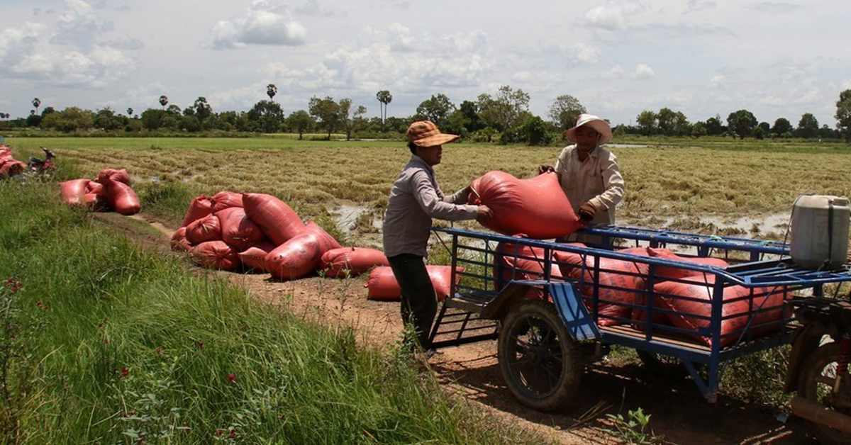 cambodia-stop-burn-stop-pm25ปก